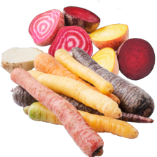 Biologische winterpeen regenboog mix of gekleurde bieten